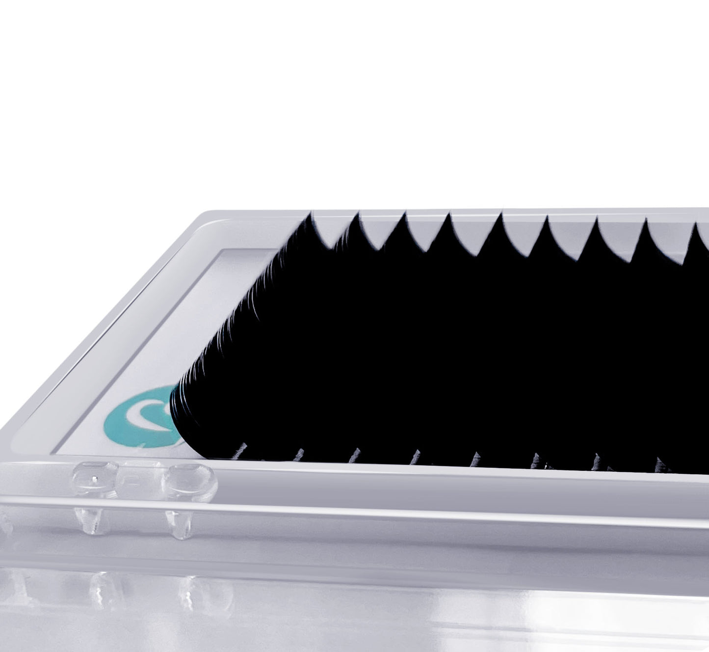 BUZZ CASHMERE MINK LASHES - CURL C