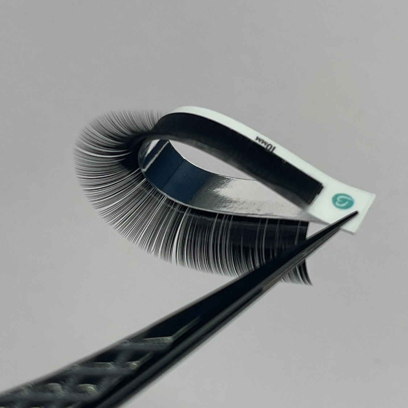 BUZZ CASHMERE MINK LASHES - CURL C